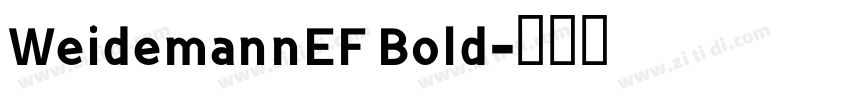 WeidemannEF Bold字体转换